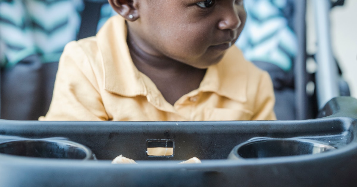 Budget vs Premium Strollers